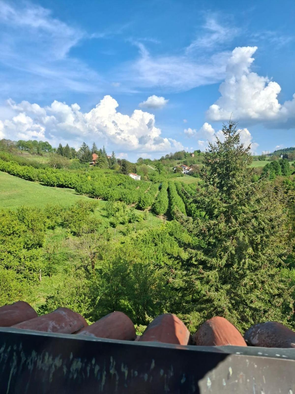 モンドヴィCascina Bringinアパートメント エクステリア 写真